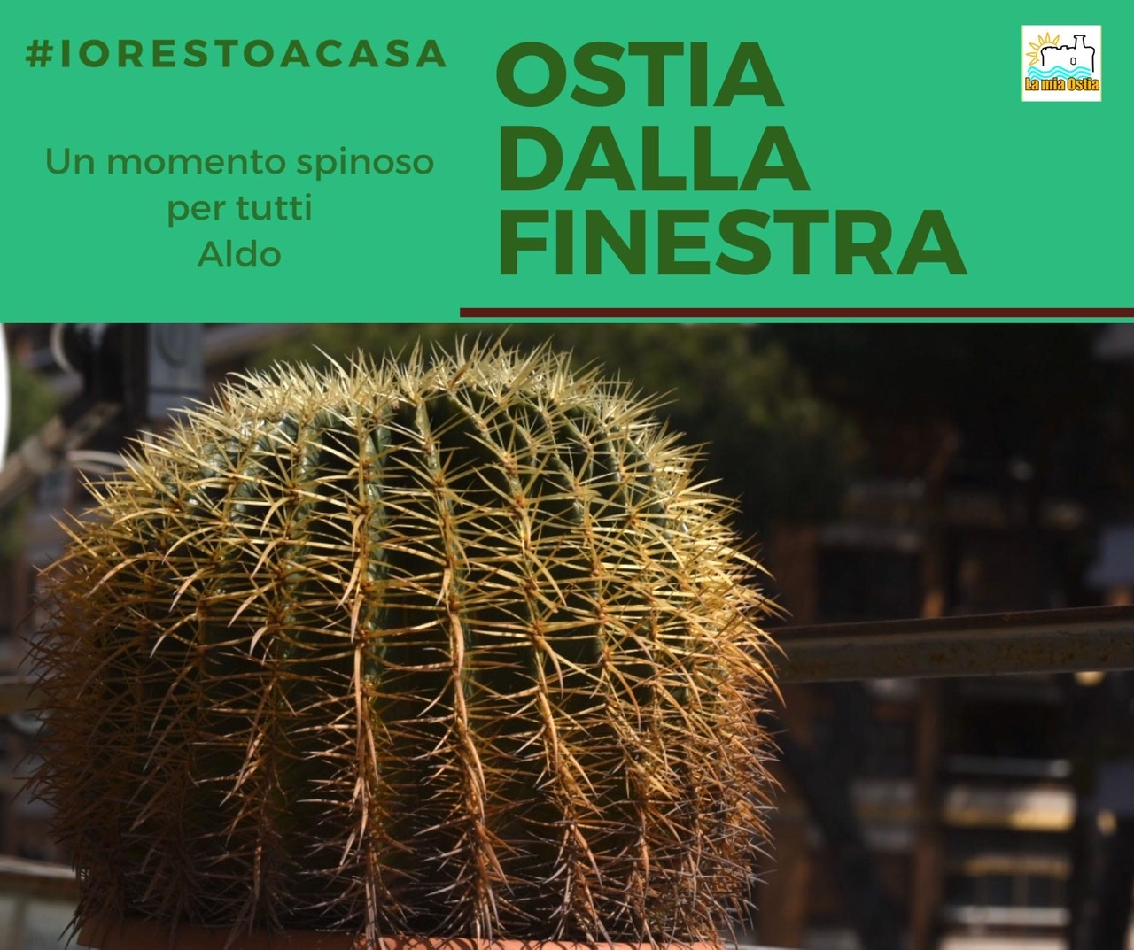 Ostia dalla finestra: mese di marzo